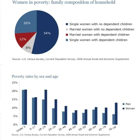IELTS Academic Writing Task 1 Model Answer - Pie chart shows the percentage of women in poverty and Bar chart shows poverty rates by sex and age.